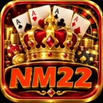 NM22