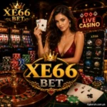 Xe66