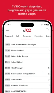 TV100 3