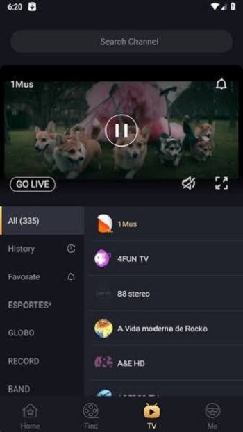 Cinegato Tv