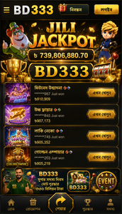 BD333 3