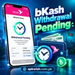 bKash Withdrawal Pending