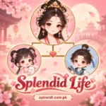 Splendid Life