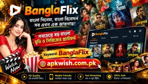 BanglaFlix 2