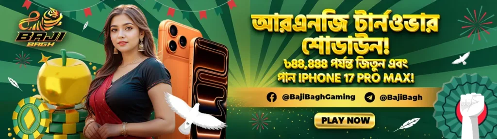 BAJIBAGH Interface