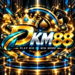 Dkm88