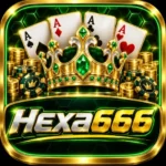 HEXA666