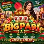 BIGPARI