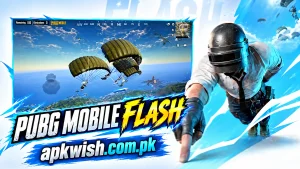 PUBG MOBILE FLASH 3